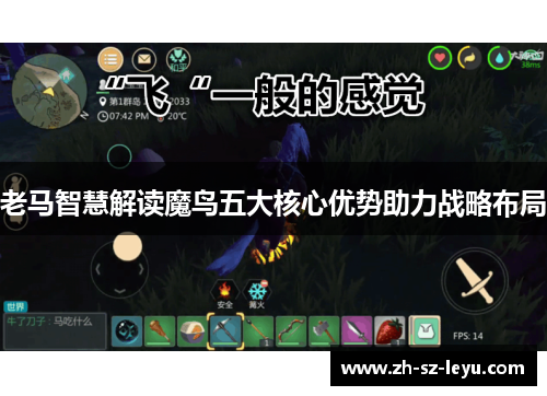 老马智慧解读魔鸟五大核心优势助力战略布局