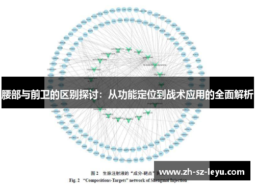 腰部与前卫的区别探讨：从功能定位到战术应用的全面解析