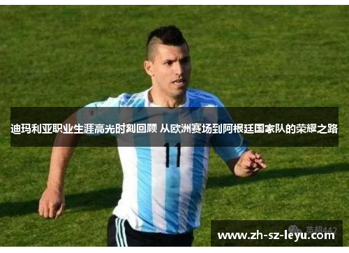 迪玛利亚职业生涯高光时刻回顾 从欧洲赛场到阿根廷国家队的荣耀之路