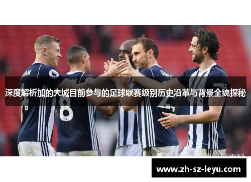 深度解析加的夫城目前参与的足球联赛级别历史沿革与背景全貌探秘 深度解析加的夫城目前参与的足球联赛级别历史沿革与背景全貌探秘