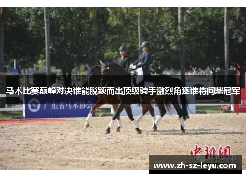 马术比赛巅峰对决谁能脱颖而出顶级骑手激烈角逐谁将问鼎冠军