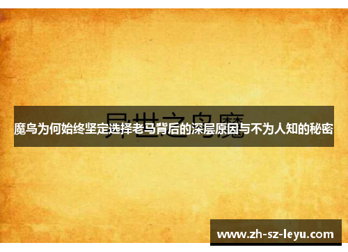 魔鸟为何始终坚定选择老马背后的深层原因与不为人知的秘密
