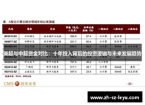 英超与中超资金对比：十年投入背后的投资逻辑与未来发展趋势